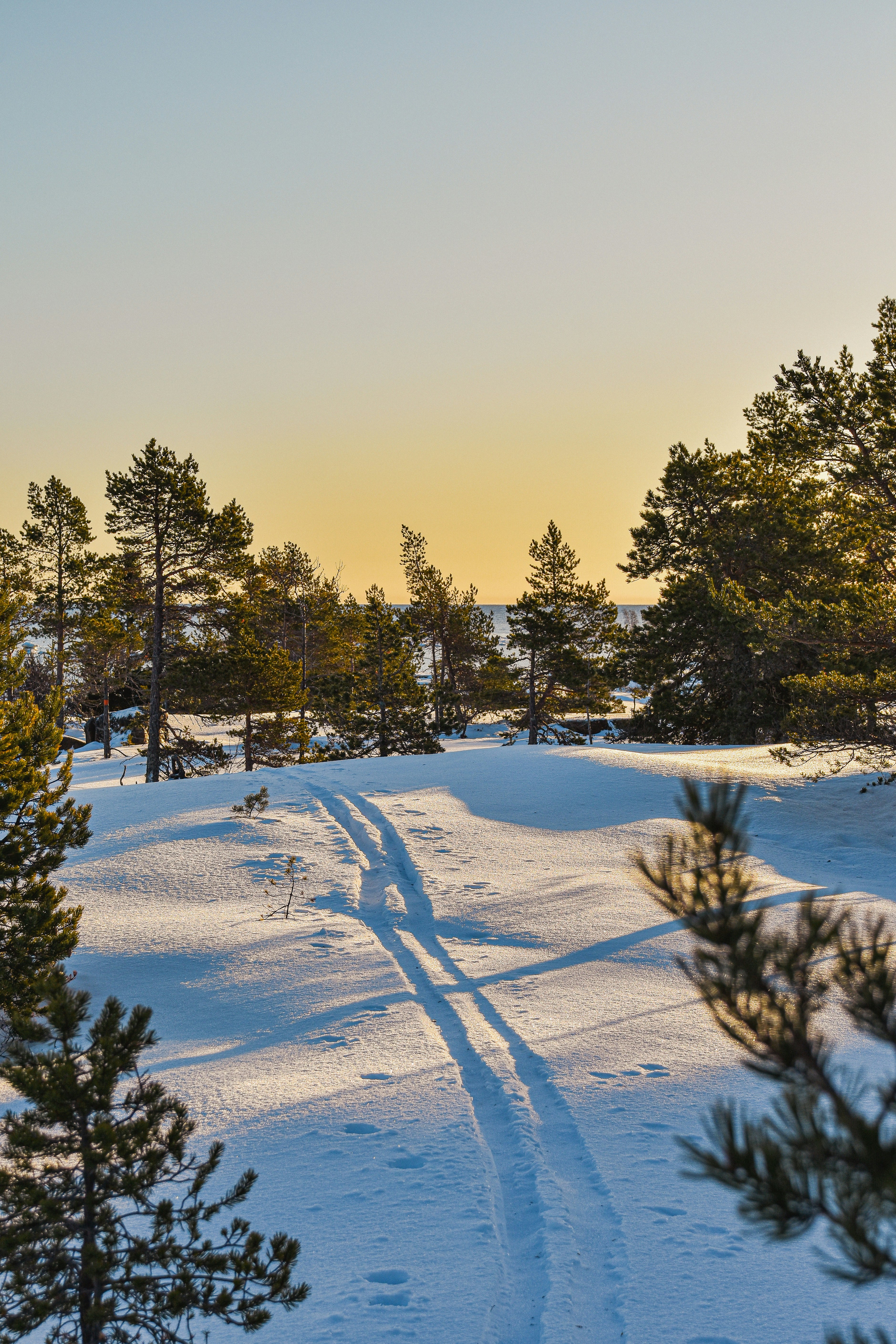 Photo by niklasjonasson
