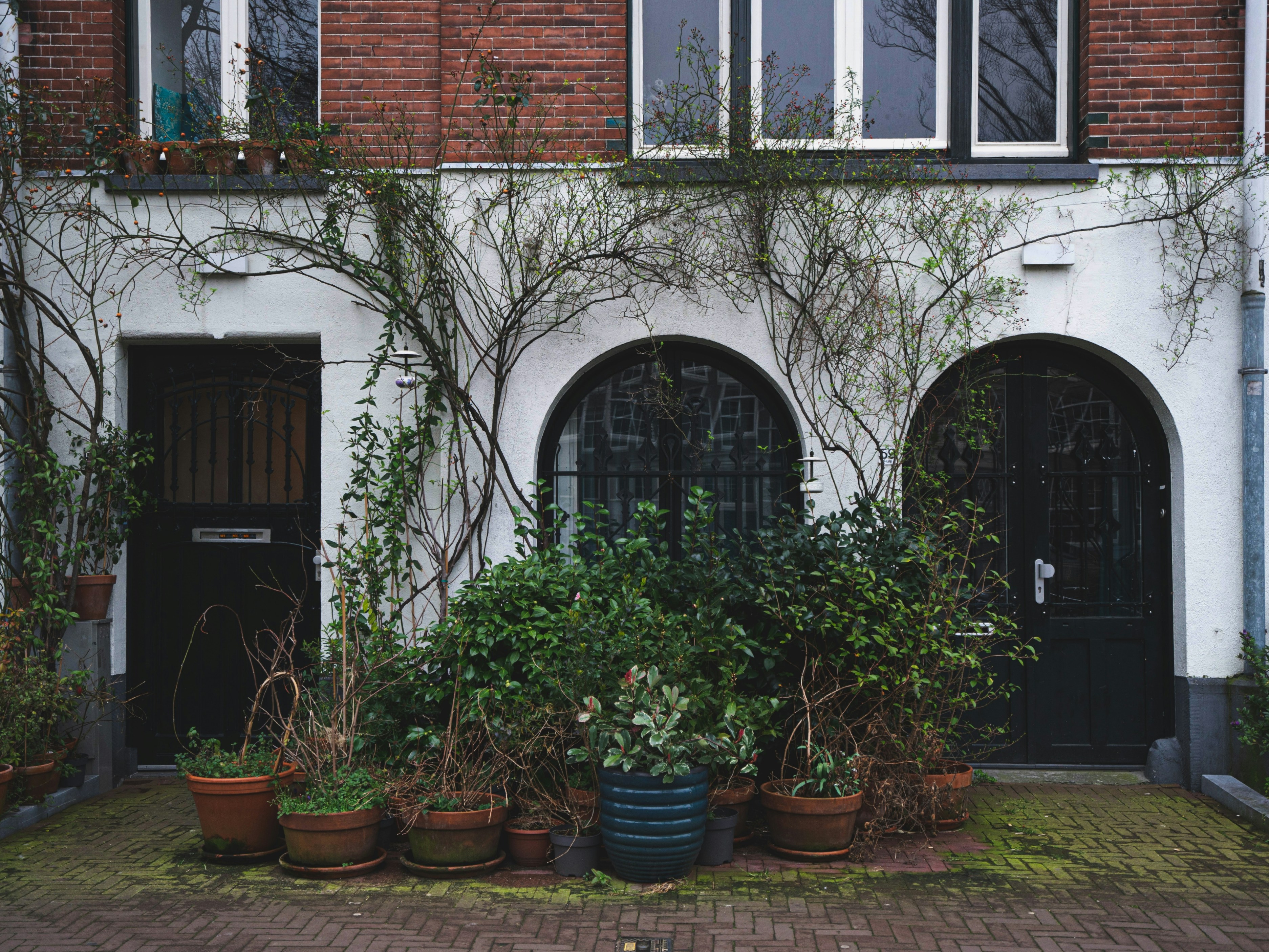 Photo by prachi30gautam