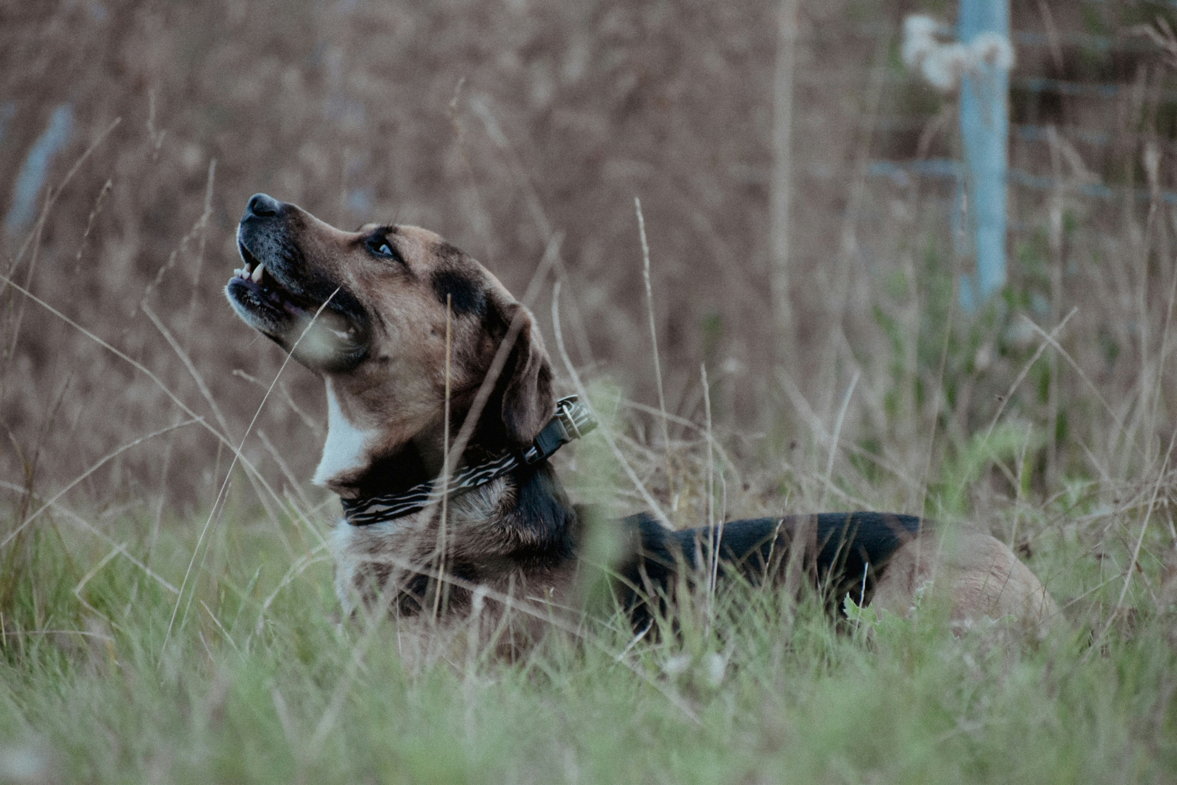 Photo by colorful_jelly