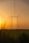 Tall metal transmission towers stretch into the distance, carrying electrical lines across a flat landscape. The scene is set against a warm, golden sunset sky with a soft gradient from orange to yellow. The foreground features dense foliage and green fields, adding a natural contrast to the industrial structures.