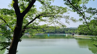 A serene lake surrounded by walking paths and cyclists enjoying the fresh air.