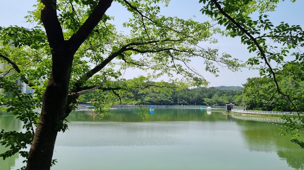 A serene lake surrounded by walking paths and cyclists enjoying the fresh air.