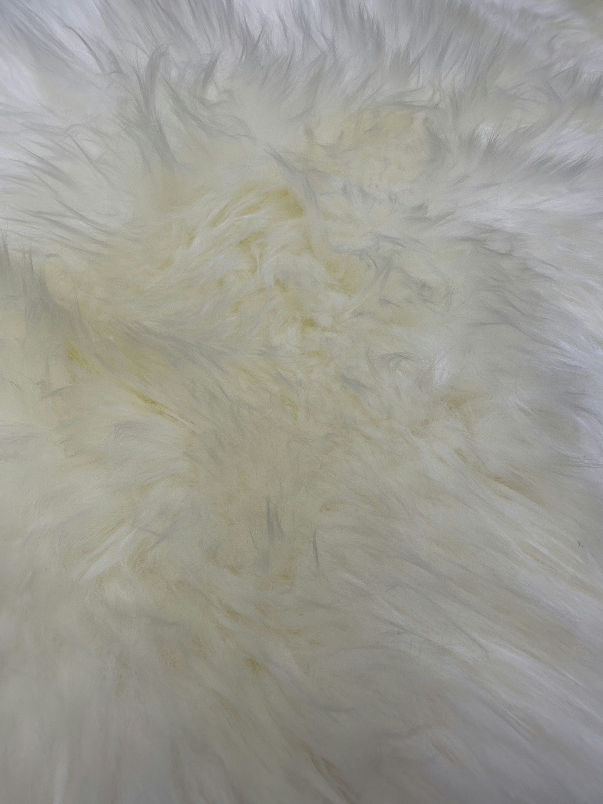 a close up of a white fur texture