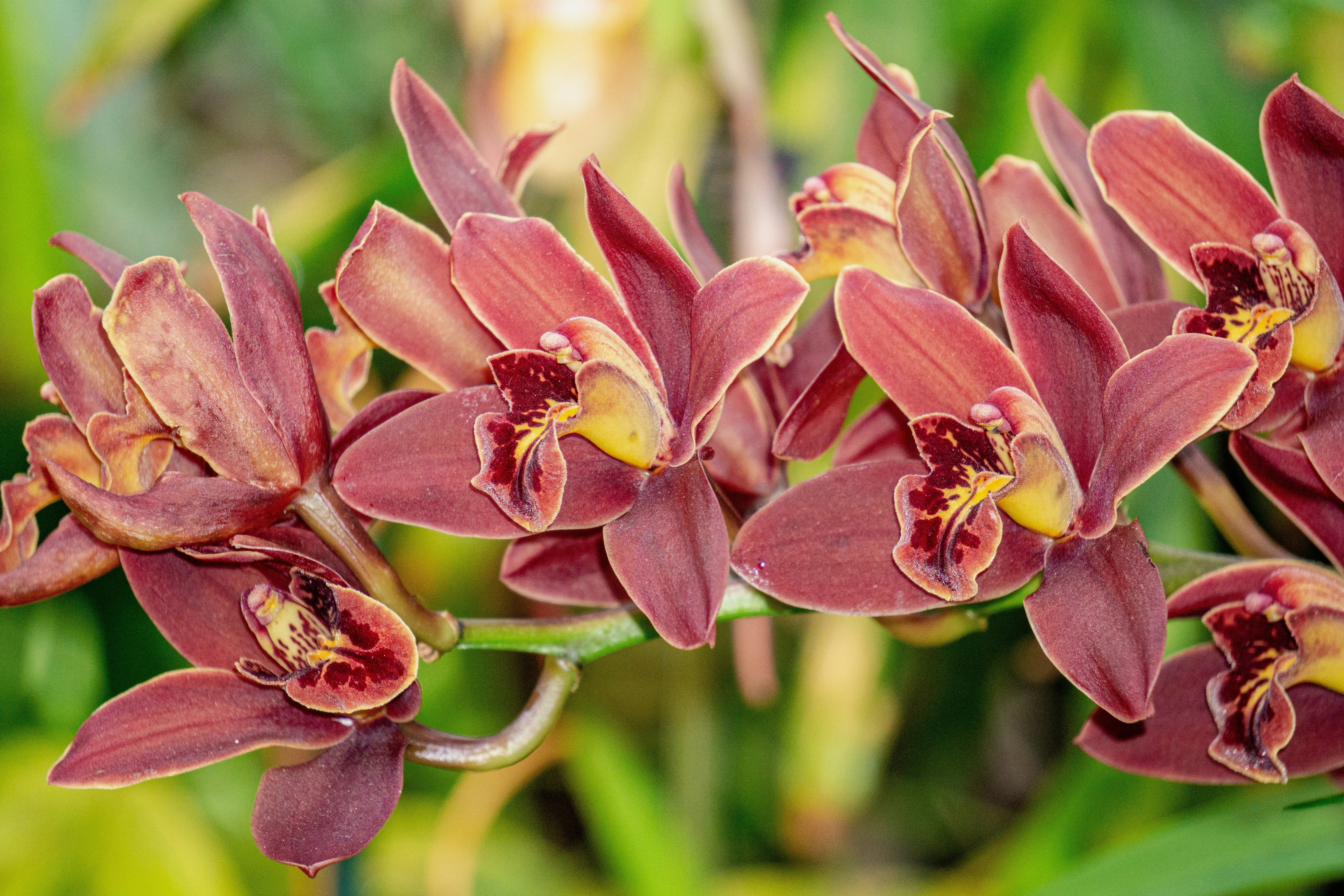 Photo by aravindreddytarugu