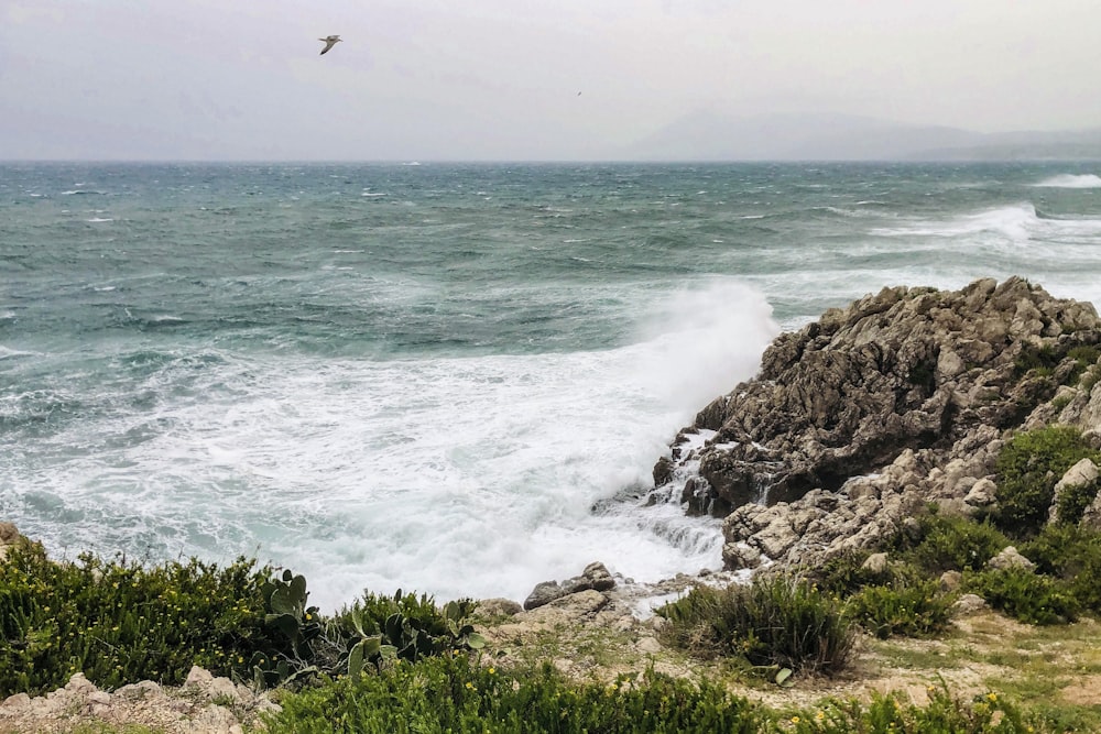 a bird flying over the ocean on a cloudy day