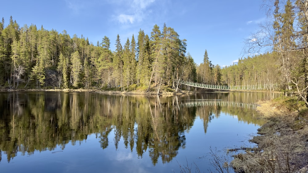 a large body of water surrounded by trees