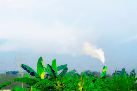 a green plant with smoke coming out of it