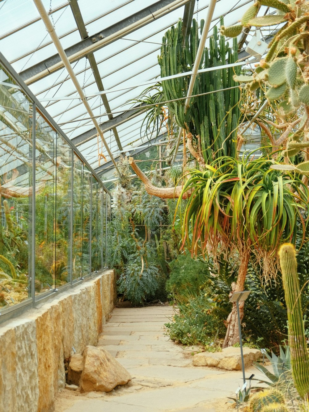 a walkway inside of a greenhouse filled with lots of plants