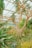 A lush greenhouse environment filled with a variety of tropical and desert plants, including a large, distinctive tree with elongated leaves and several species of cacti and succulents.