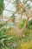 A lush greenhouse environment filled with a variety of tropical and desert plants, including a large, distinctive tree with elongated leaves and several species of cacti and succulents.