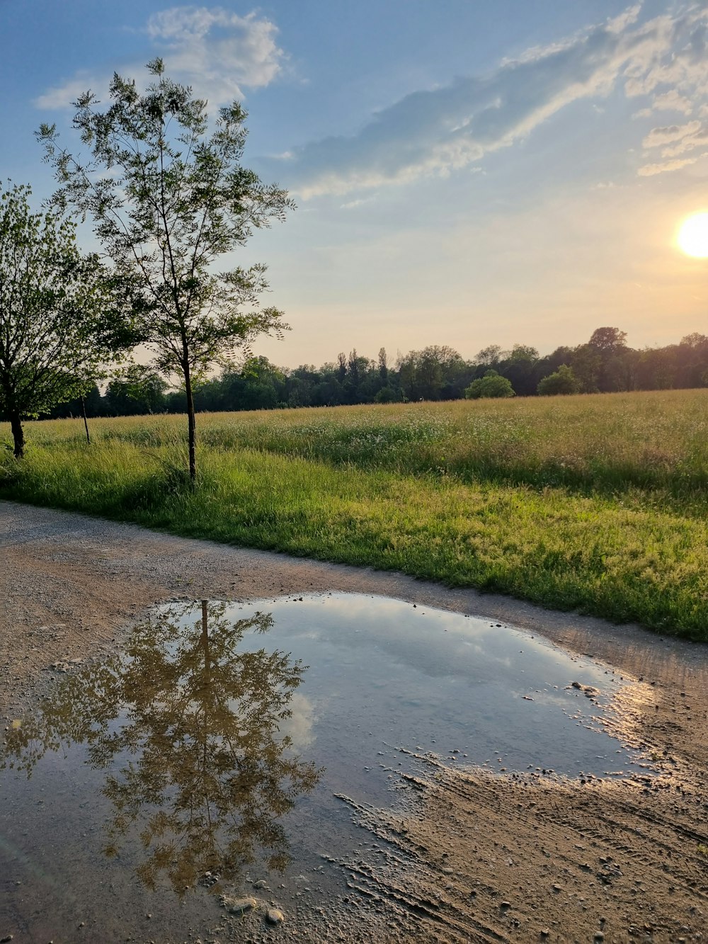 a puddle of water on the side of a road