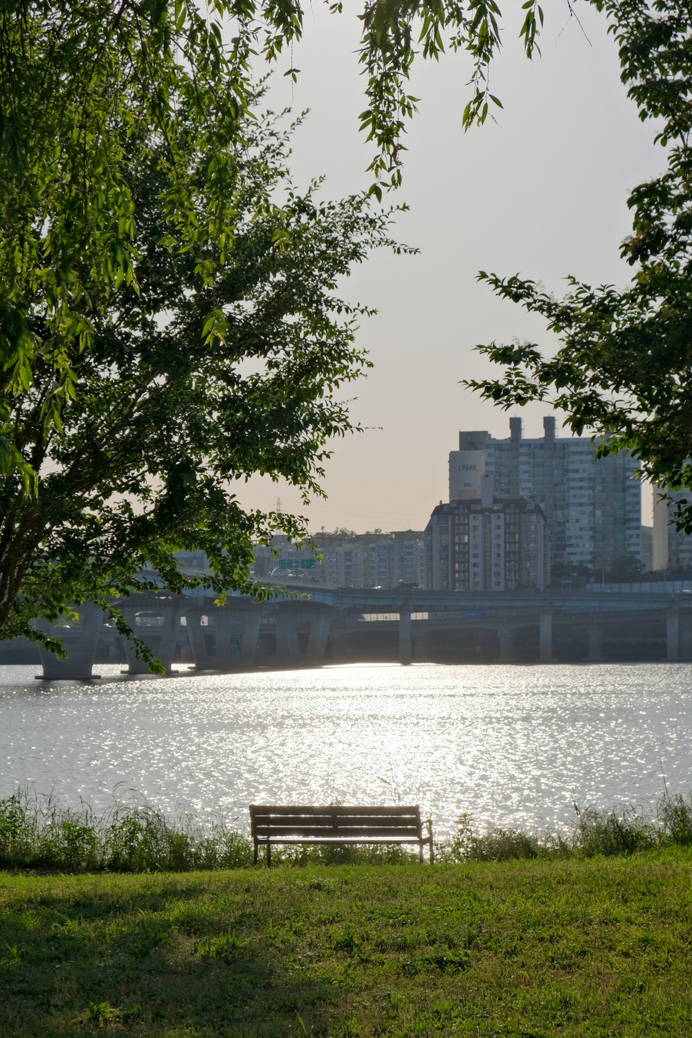 a bench sitting on the side of a river next to a lush green field