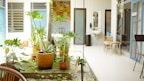 A bright and airy indoor space features a variety of potted plants with lush green leaves, arranged on a patch of artificial grass and surrounded by white pebbles. The setting appears to extend into a modern, open office area with a mixture of natural light and soft tones.