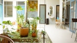 A bright and airy indoor space features a variety of potted plants with lush green leaves, arranged on a patch of artificial grass and surrounded by white pebbles. The setting appears to extend into a modern, open office area with a mixture of natural light and soft tones.