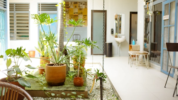 A bright and airy indoor space features a variety of potted plants with lush green leaves, arranged on a patch of artificial grass and surrounded by white pebbles. The setting appears to extend into a modern, open office area with a mixture of natural light and soft tones.