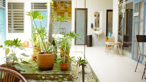 A bright and airy indoor space features a variety of potted plants with lush green leaves, arranged on a patch of artificial grass and surrounded by white pebbles. The setting appears to extend into a modern, open office area with a mixture of natural light and soft tones.