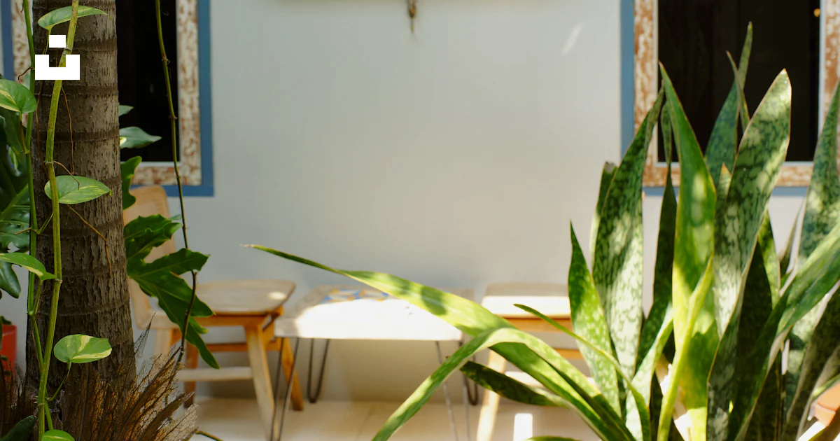 A room with a table, chairs and a clock on the wall photo – Free ...