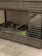 A tabby cat and a gray rabbit are together inside a large metal cage with hay bedding. A broken wooden branch protrudes into the cage, and the base is lined with hay. The cage is placed on a wooden floor.