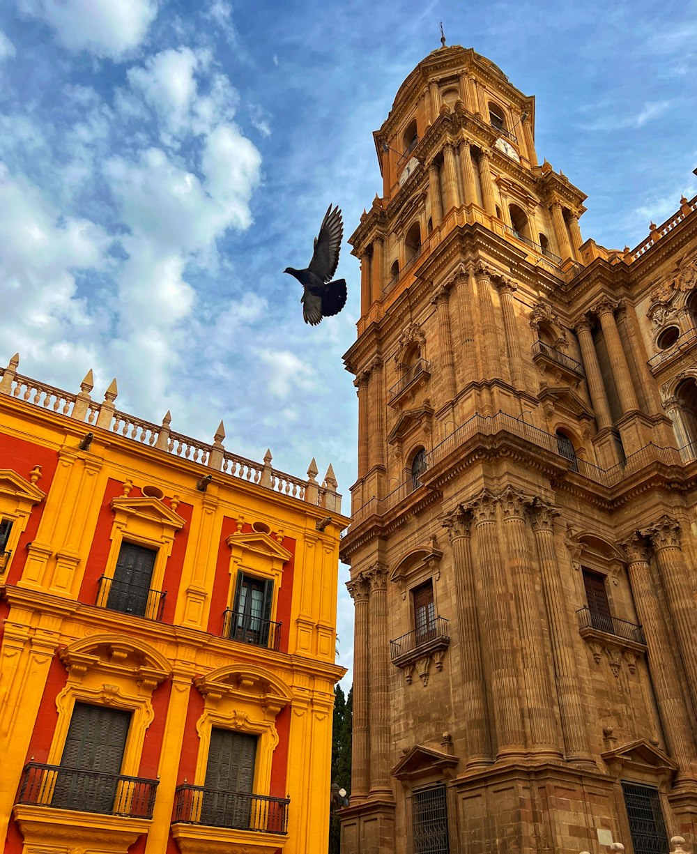 a large building with a bird flying in front of it