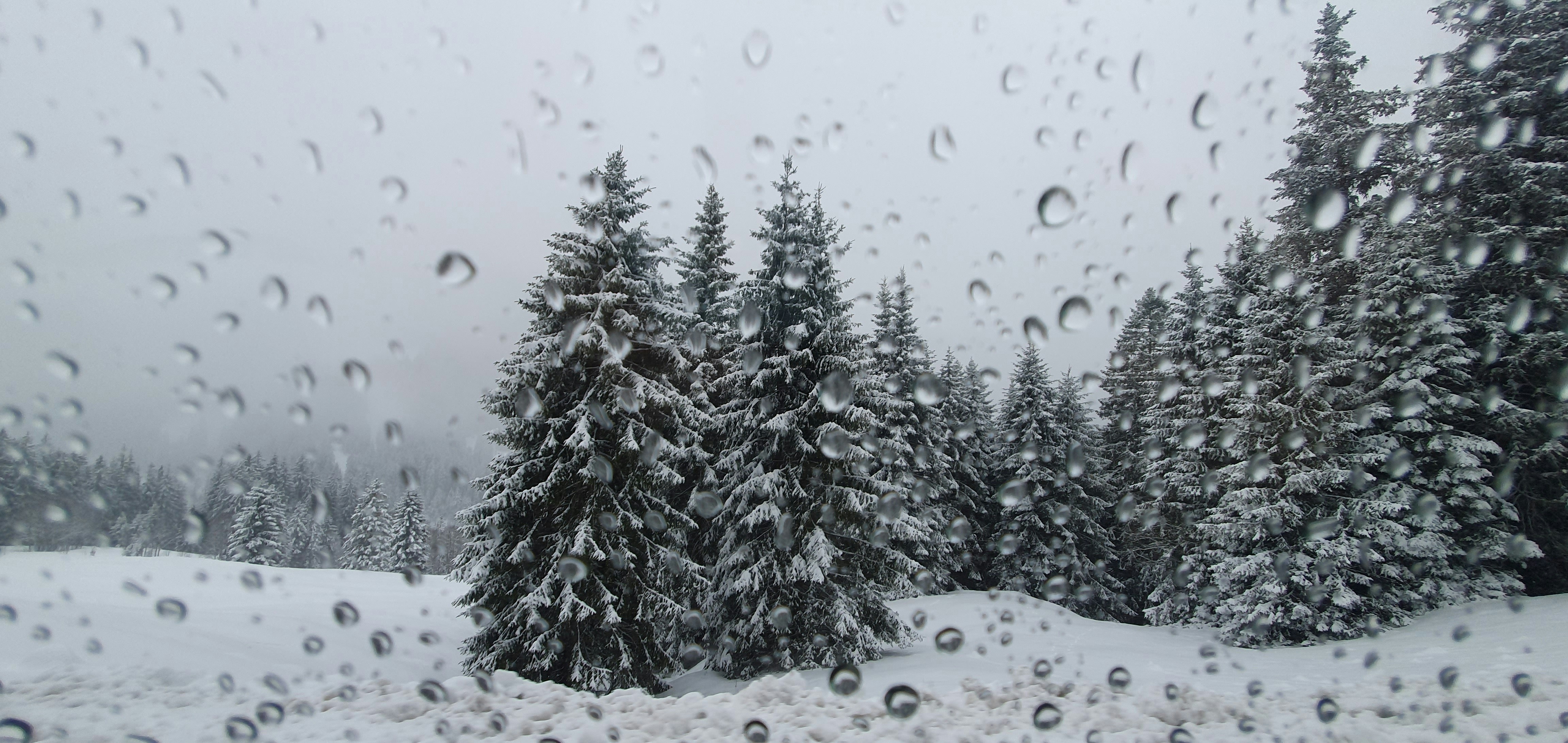 a view of a snowy forest through a window
