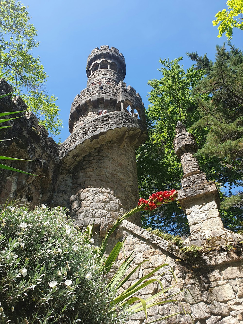 a stone castle with a red flower in the foreground
