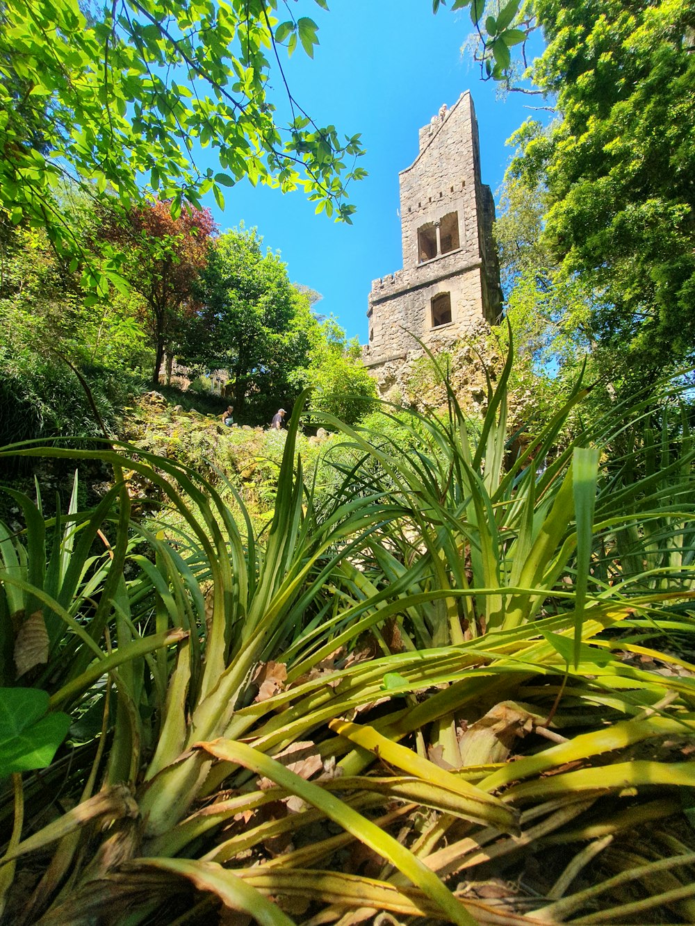 a tall tower sitting above a lush green forest