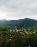 a view of a town with a mountain in the background
