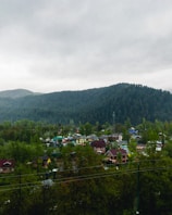 a view of a town with a mountain in the background