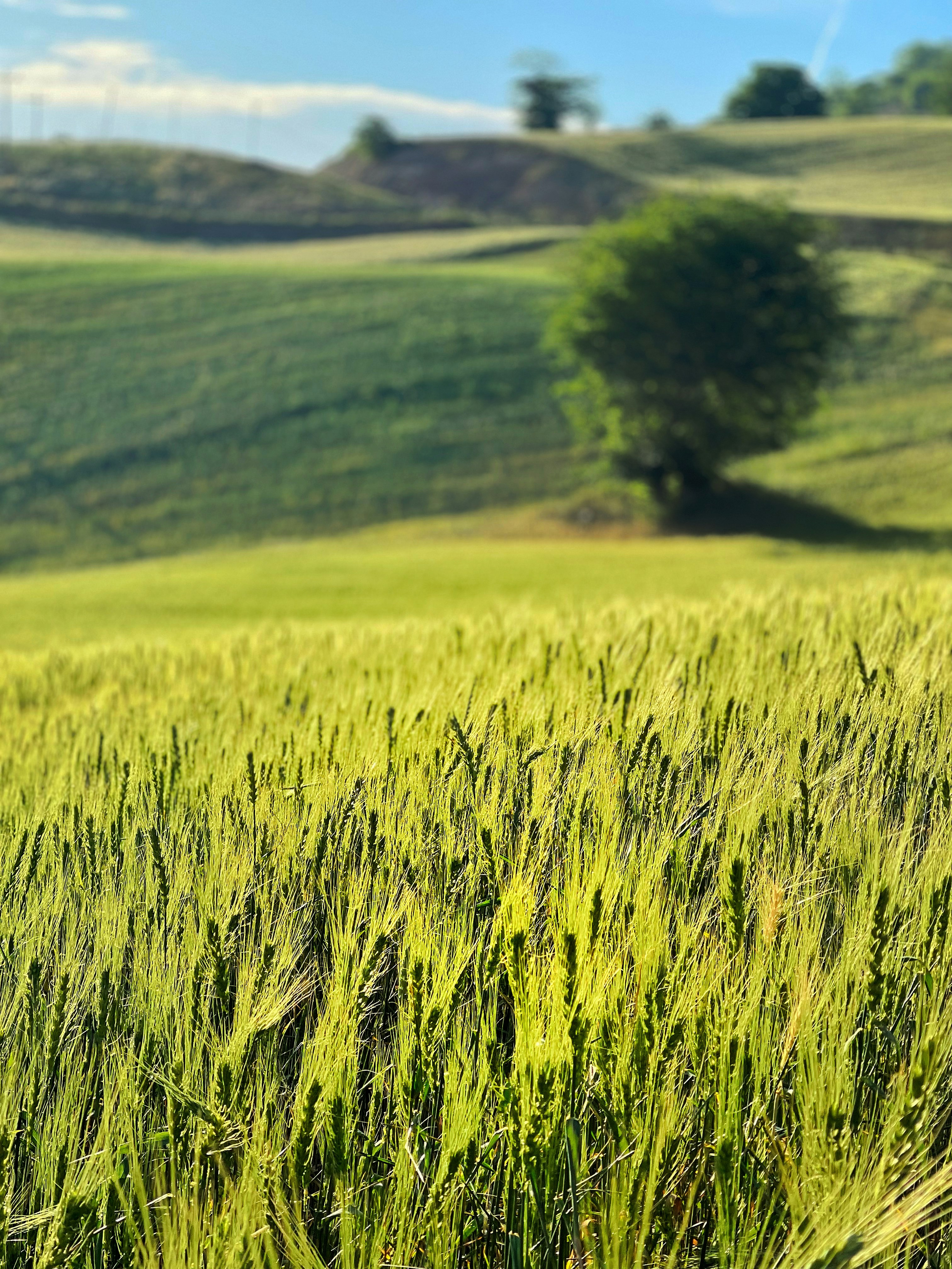 Photo by usefkhamseh