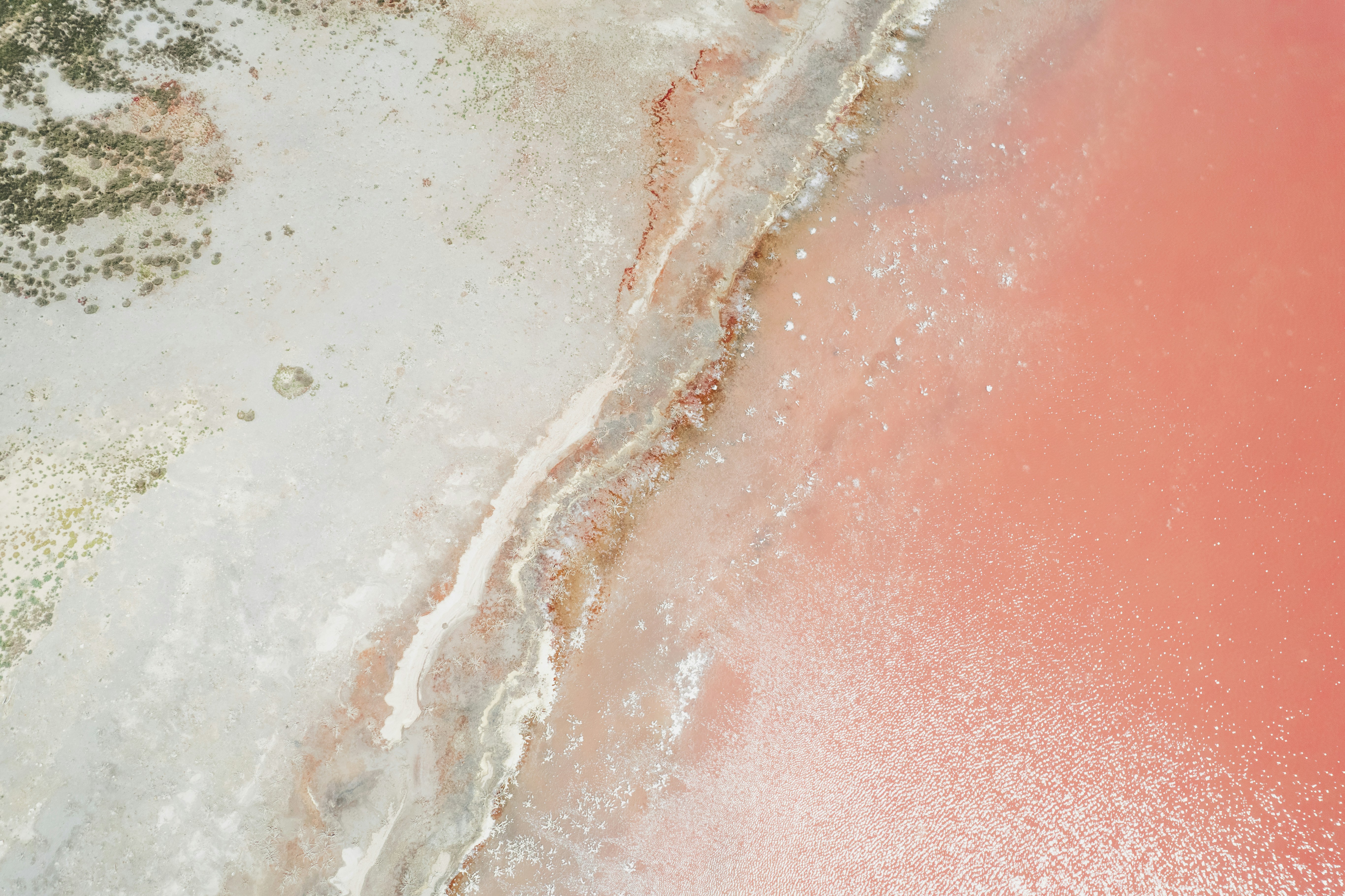 Photo by elmartinbaron