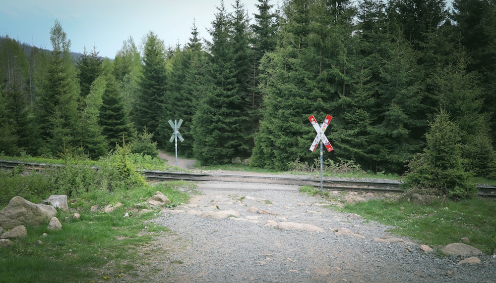 a railroad crossing in the middle of a forest