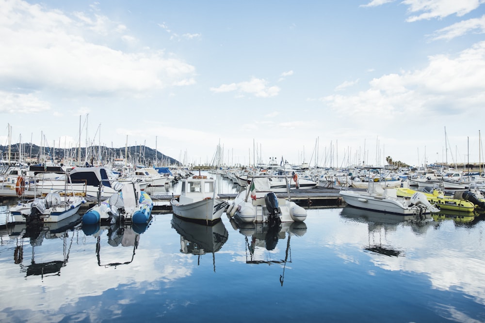 a bunch of boats that are in the water