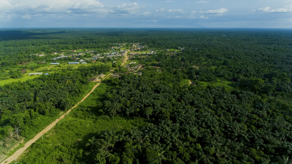 an aerial view of a village in the middle of a forest