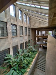 A modern architectural interior featuring large windows with multiple panes, allowing natural light to stream through. The walls are constructed with textured concrete blocks, creating a rugged yet stylish look. In the center, there is a planter with lush green foliage, enhancing the natural vibe. Stairs descend alongside the plants, leading to a lower level, while a walkway on the right provides access to other areas.