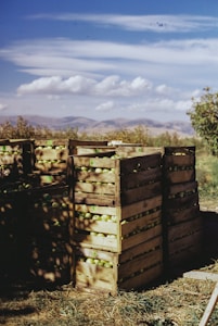 Organic Apples