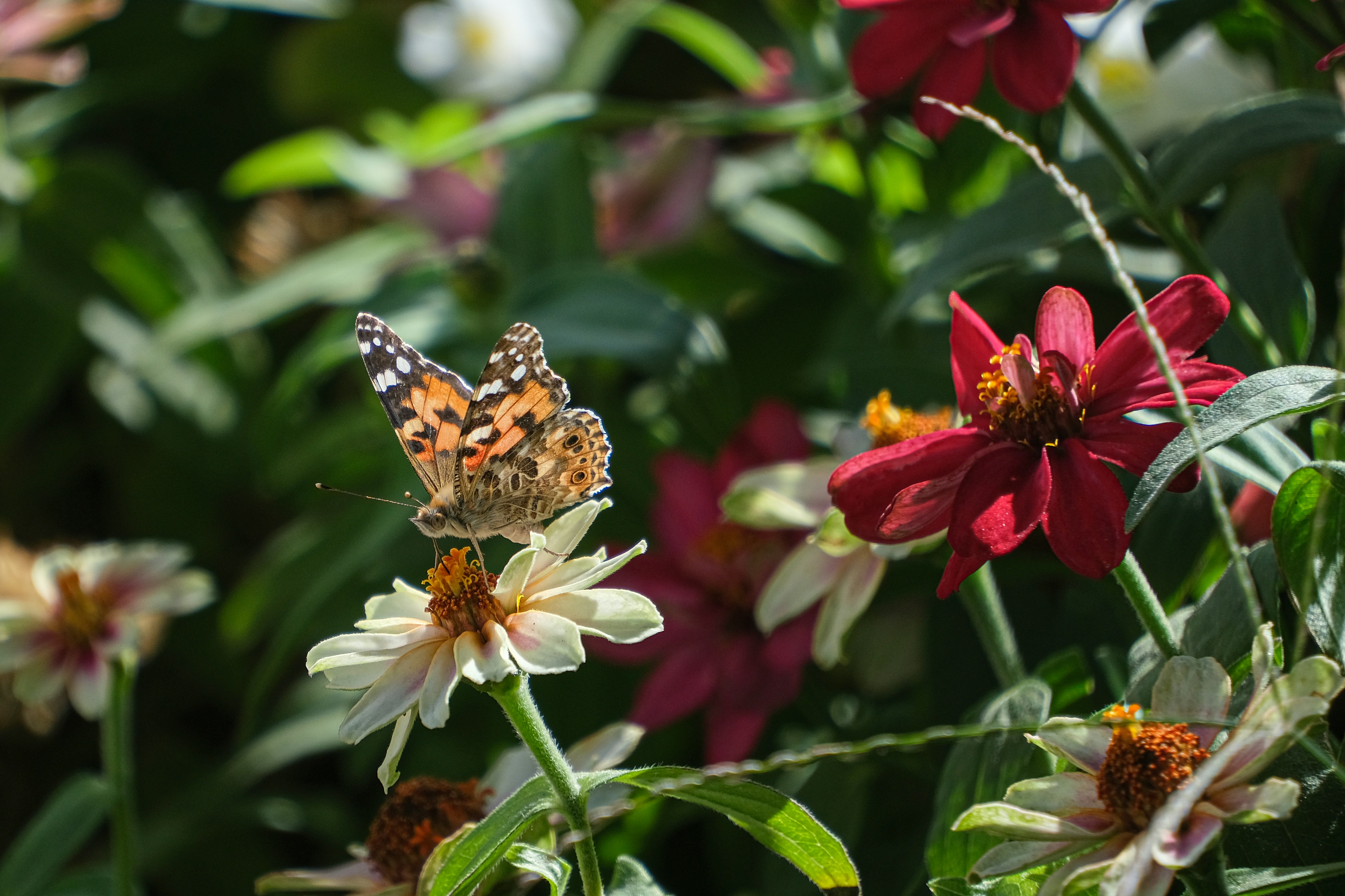 Photo by hrantkhachatryan