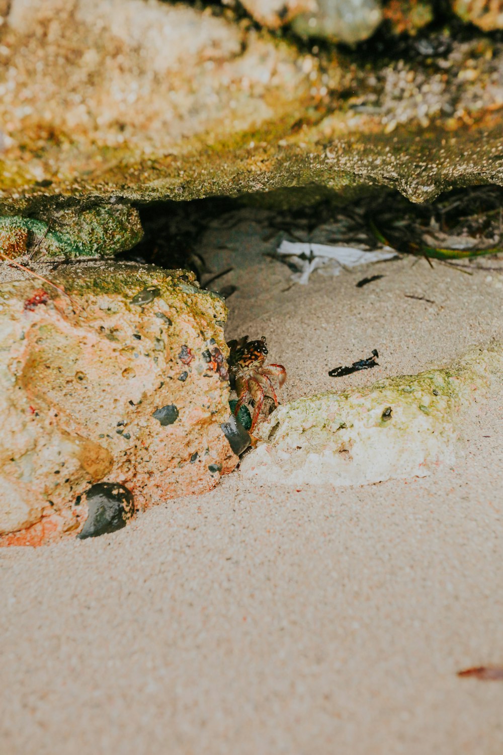 a close up of a rock on a beach