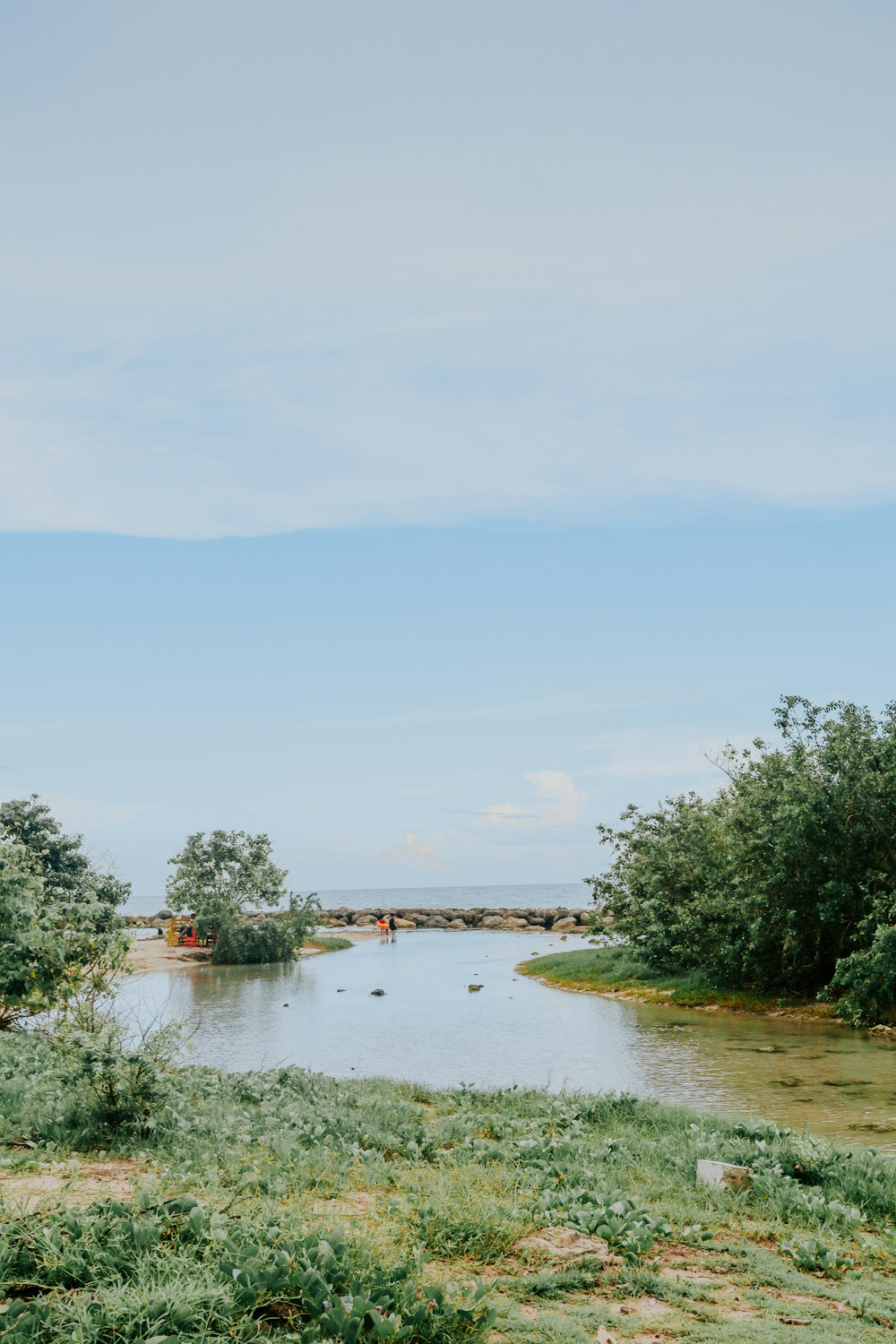 a body of water surrounded by trees and grass