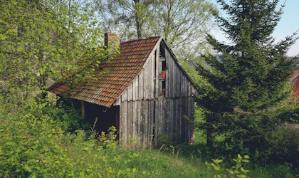 Wooden cabin in a quiet forest
