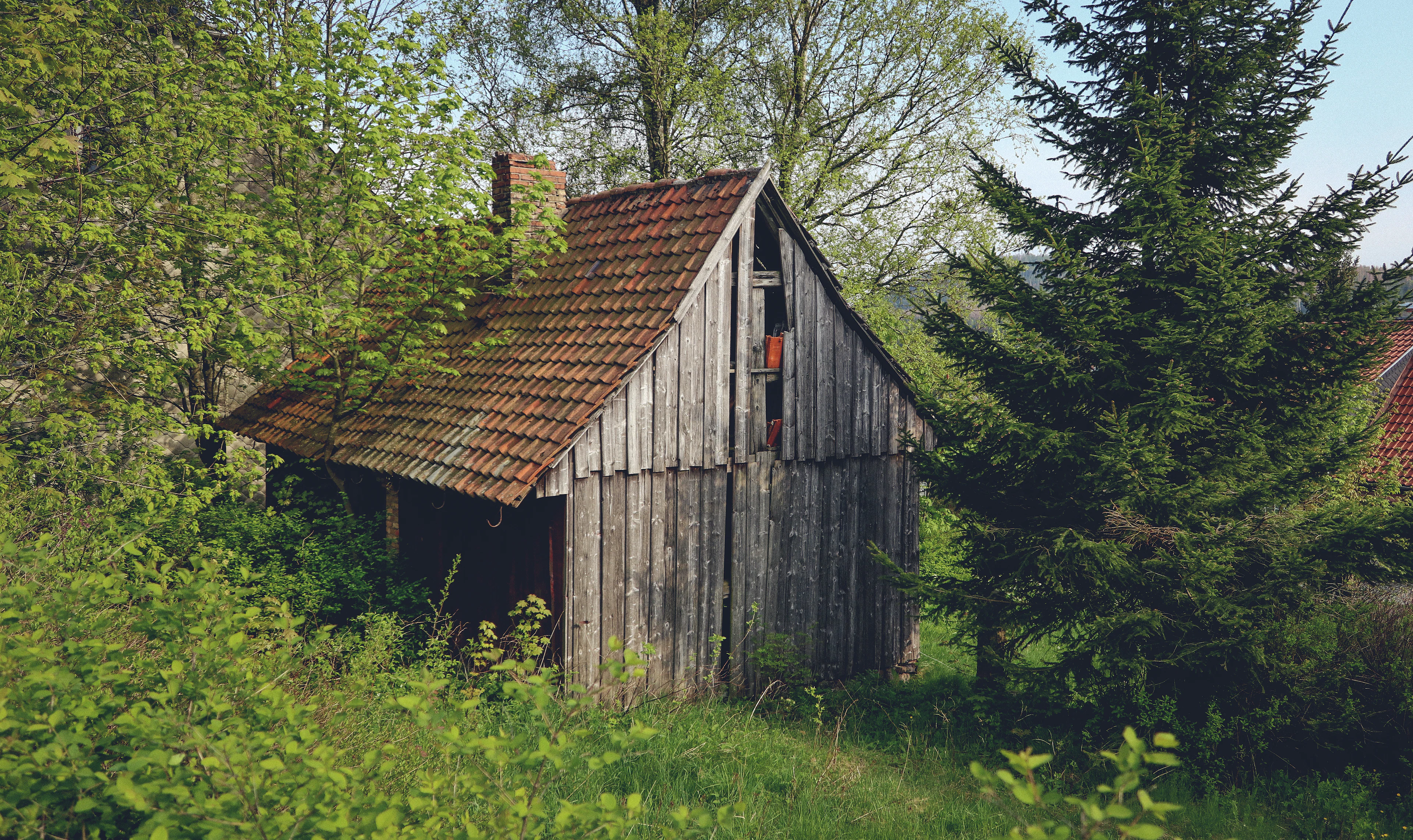 Shed removal