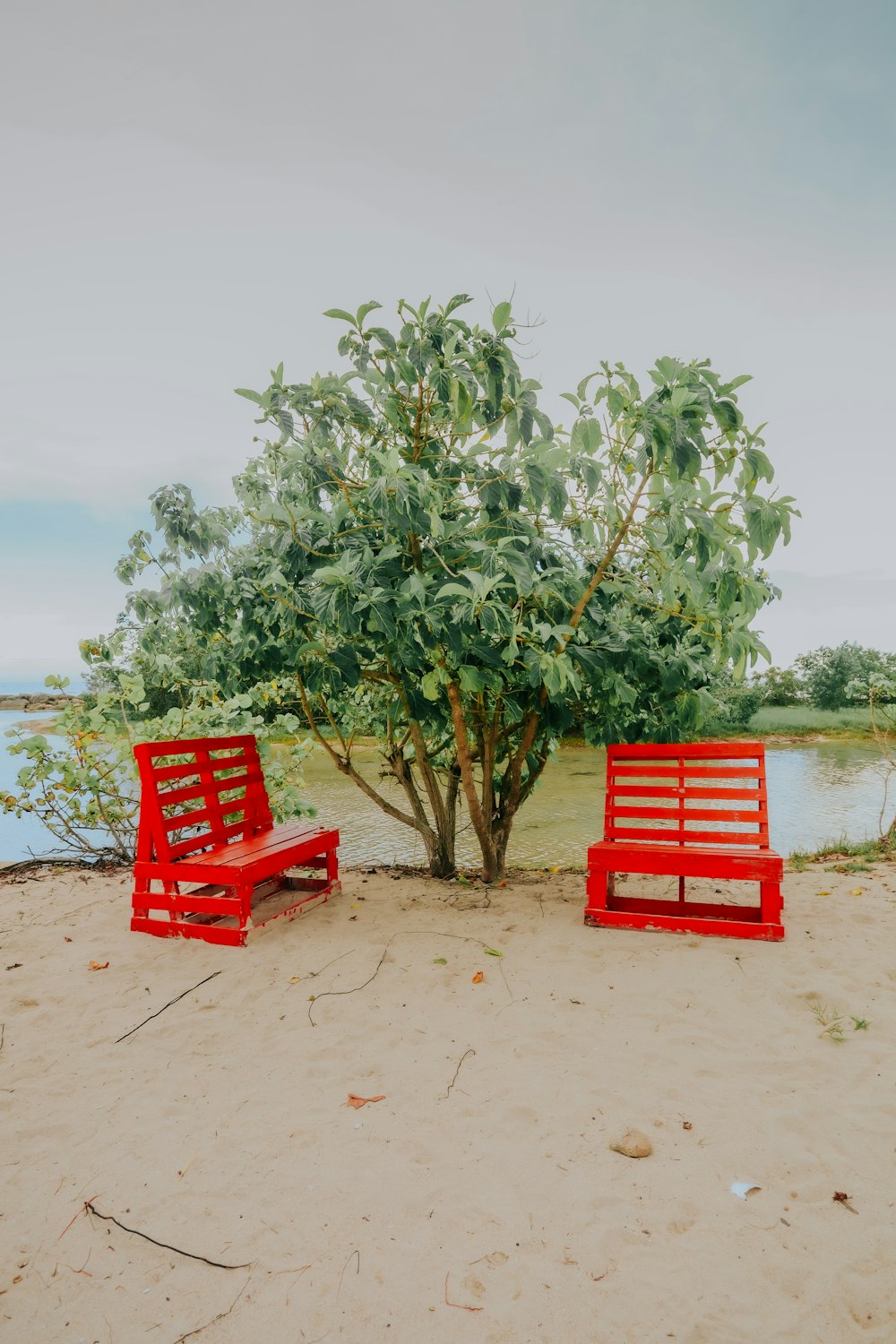 a couple of red benches sitting next to a tree