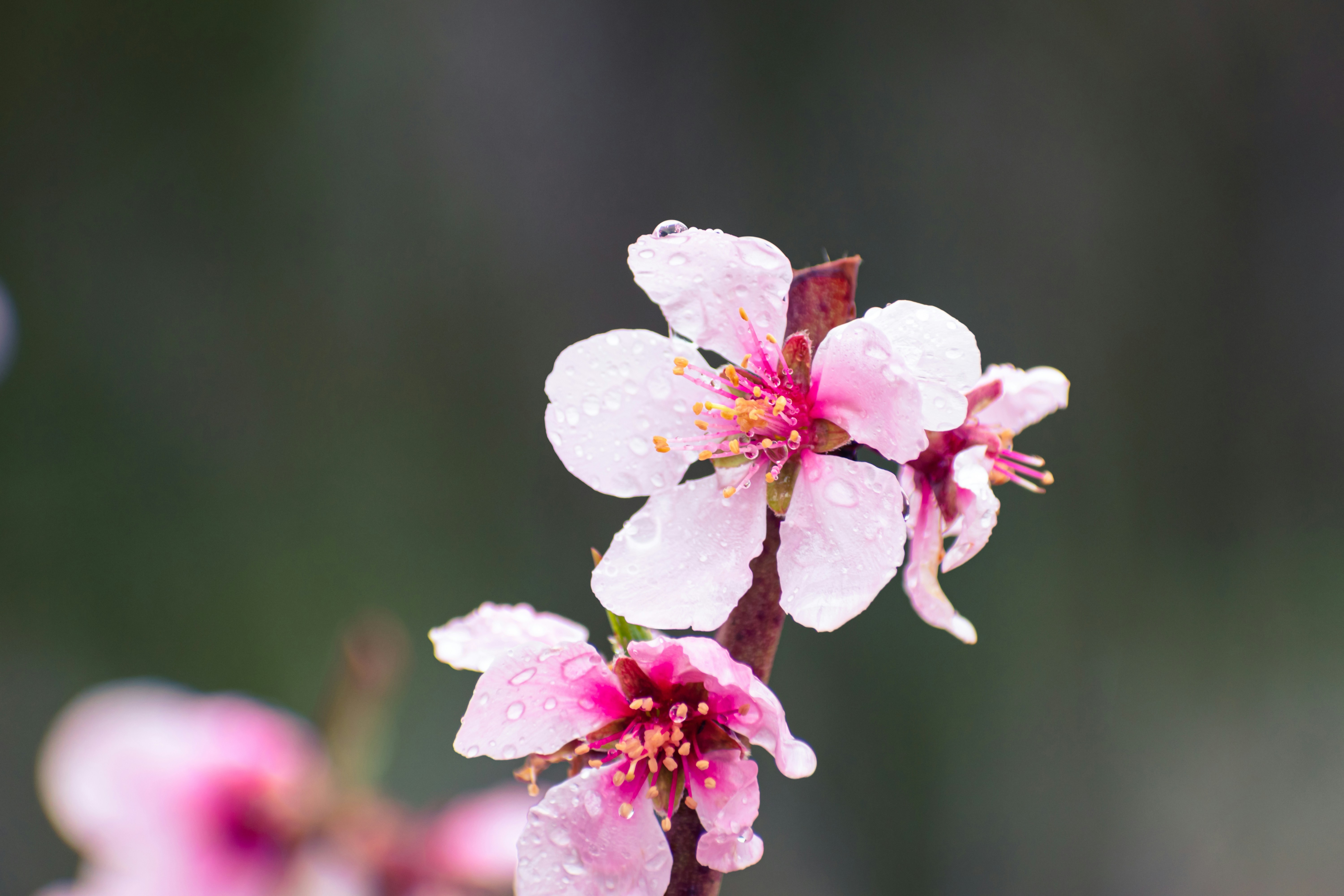 Photo by niki_emmert