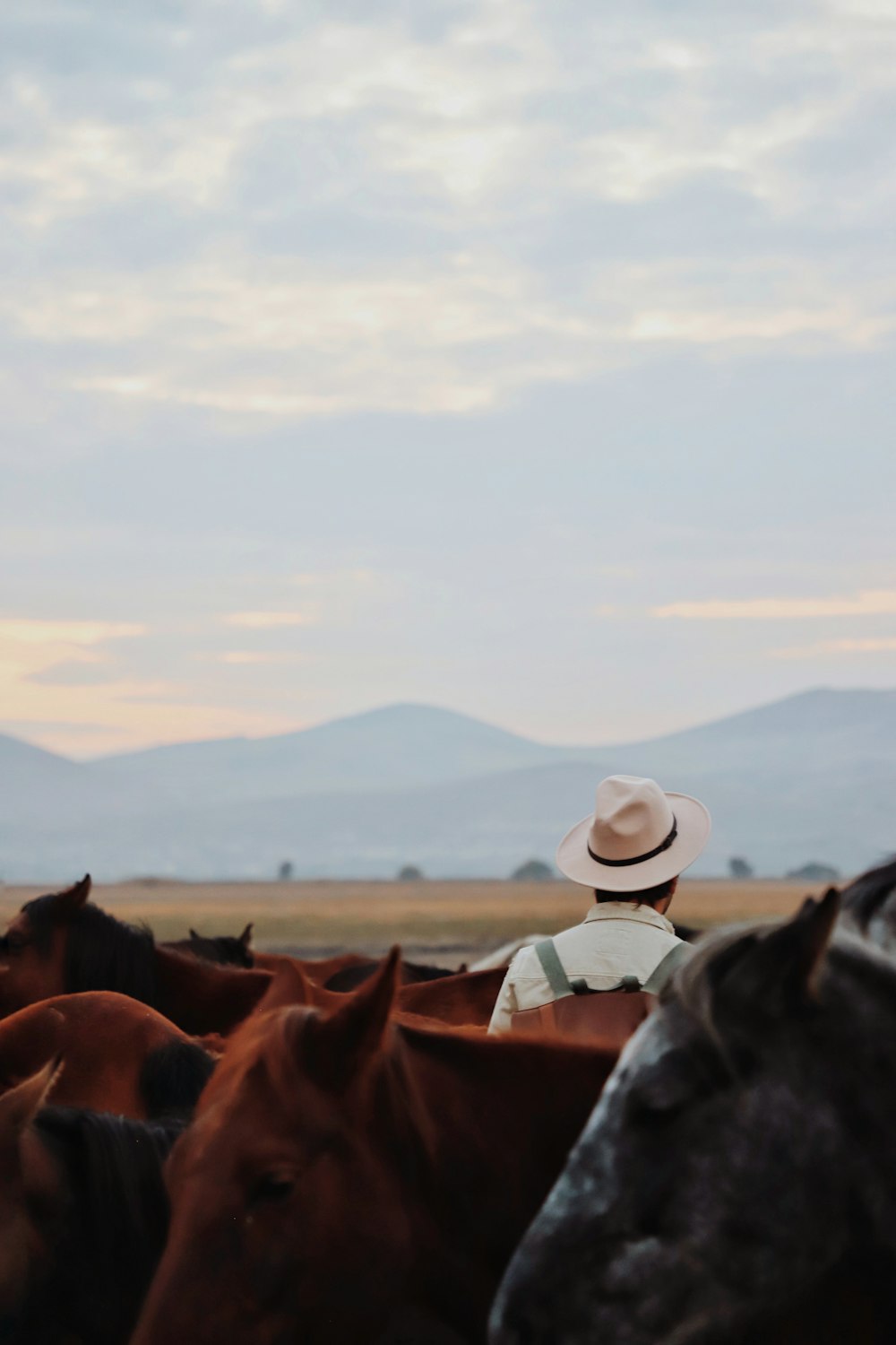 a man in a cowboy hat standing in front of a herd of horses