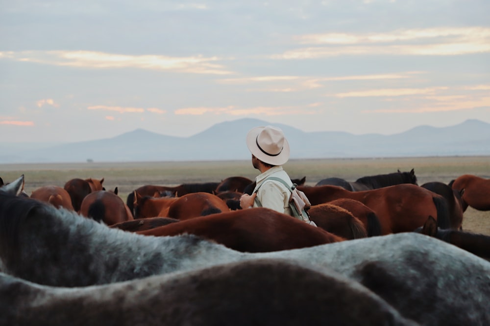 a person with a hat standing in front of a herd of horses