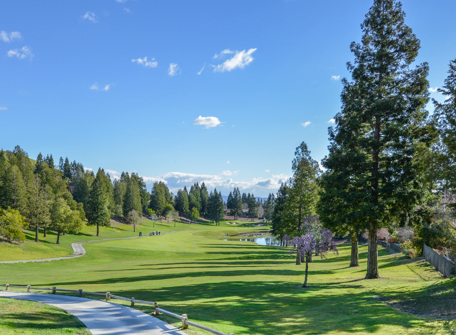 Lake of the Pines vs. Auburn: Which Sierra Foothills Lifestyle Fits You