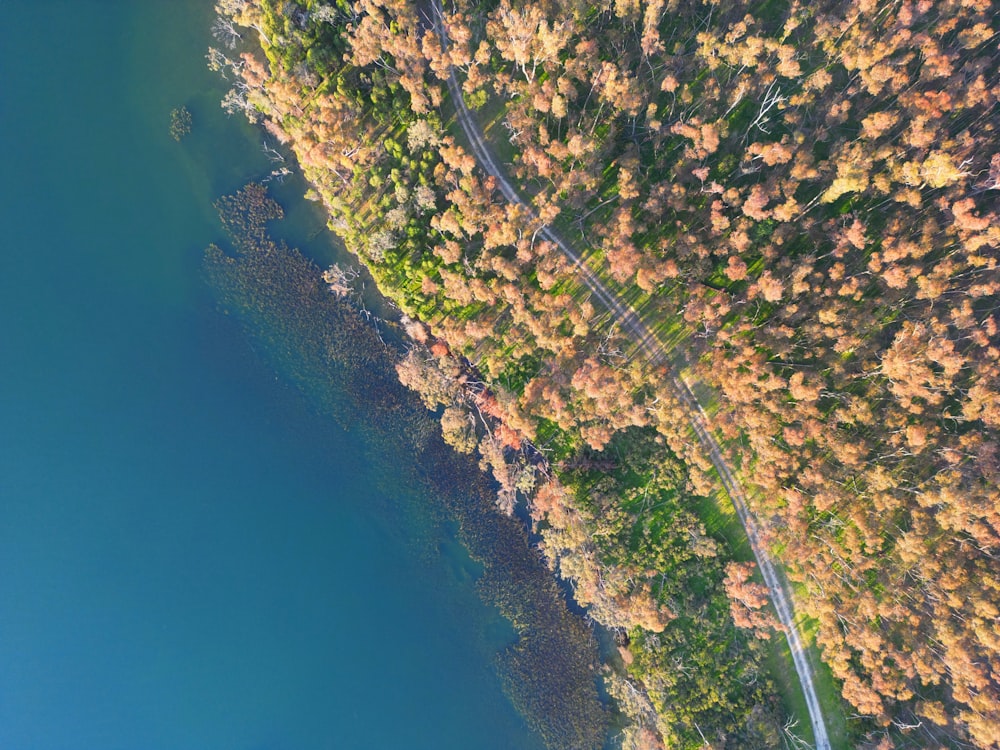 an aerial view of a lake surrounded by trees