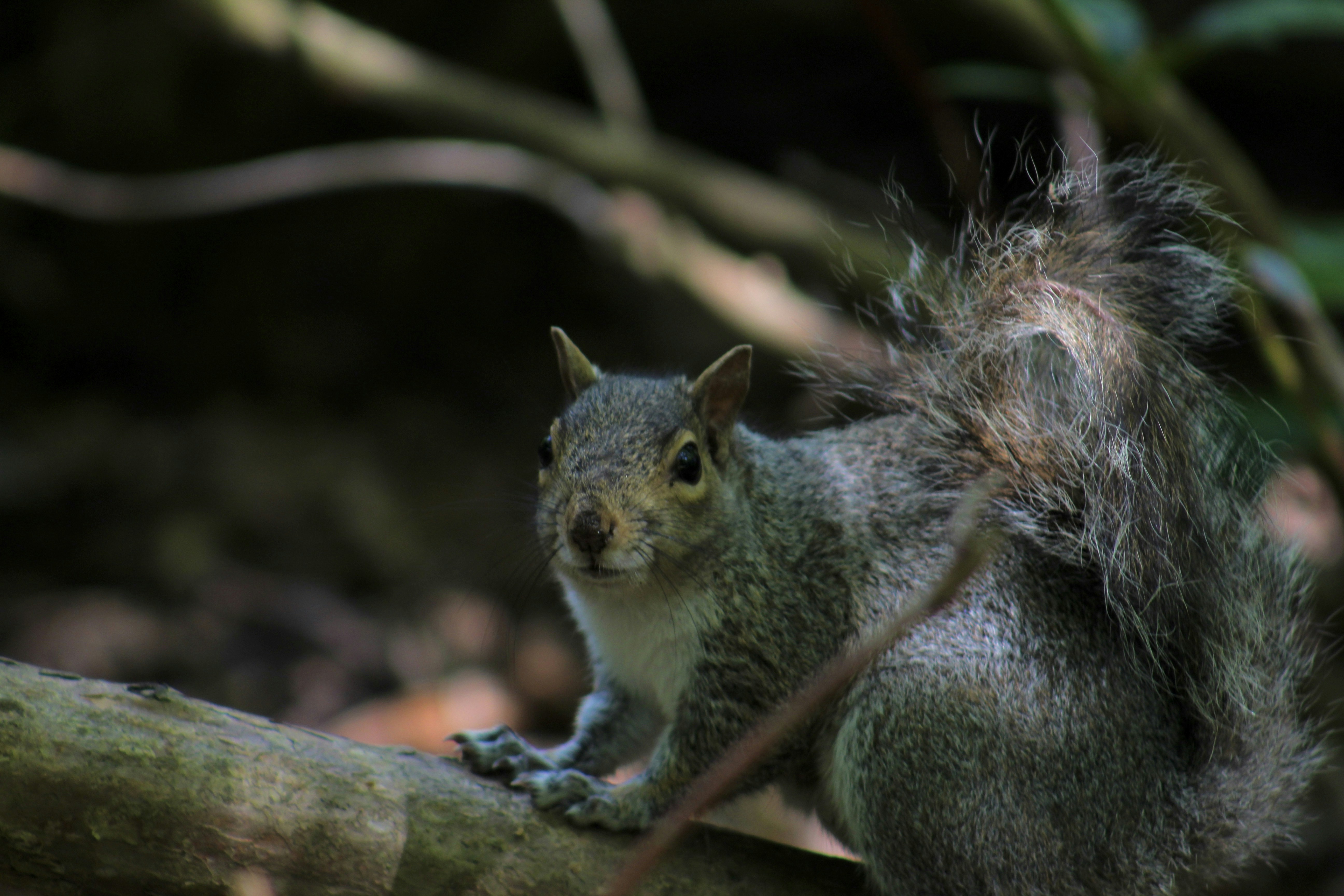 Photo by julia_fiander