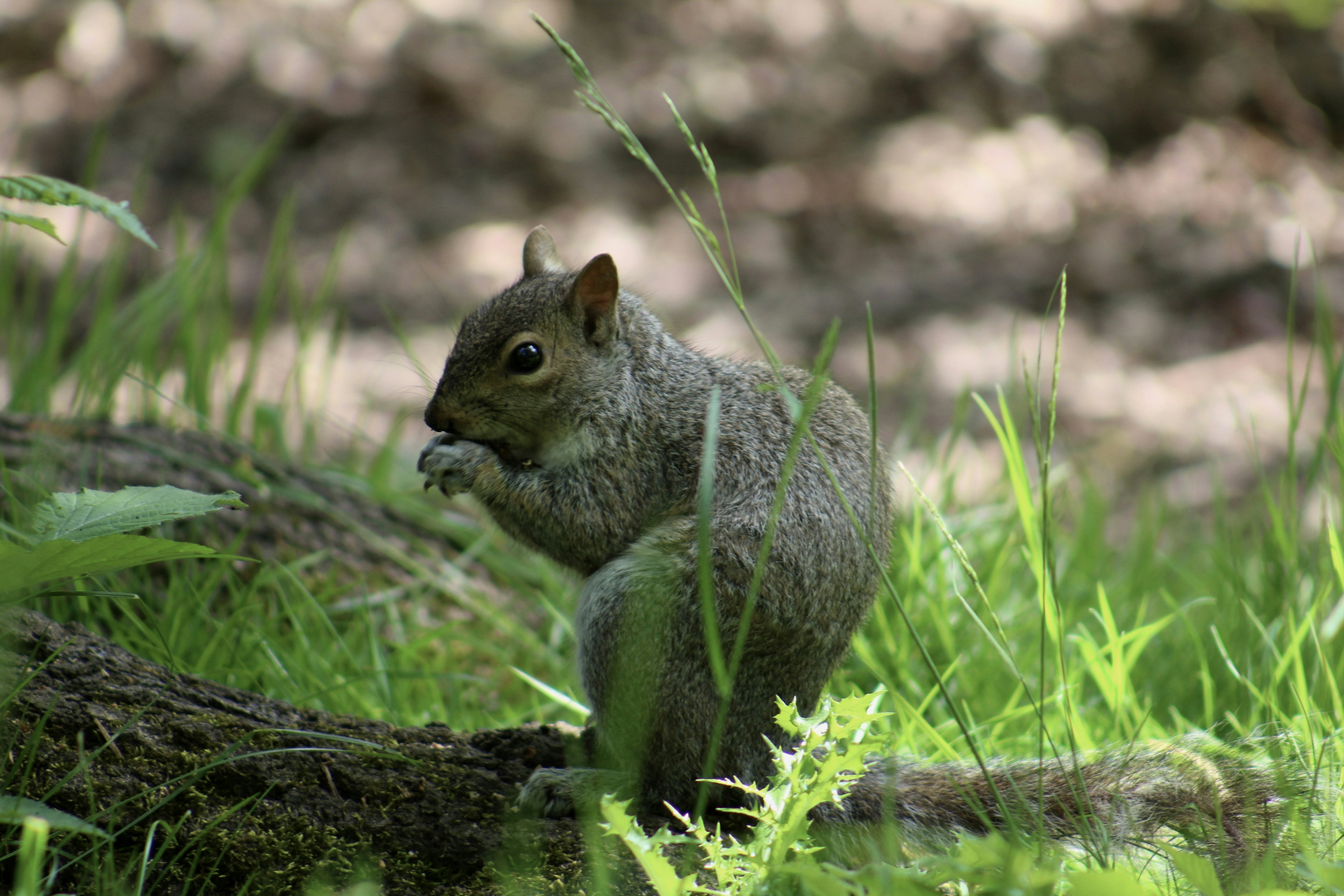 Photo by julia_fiander