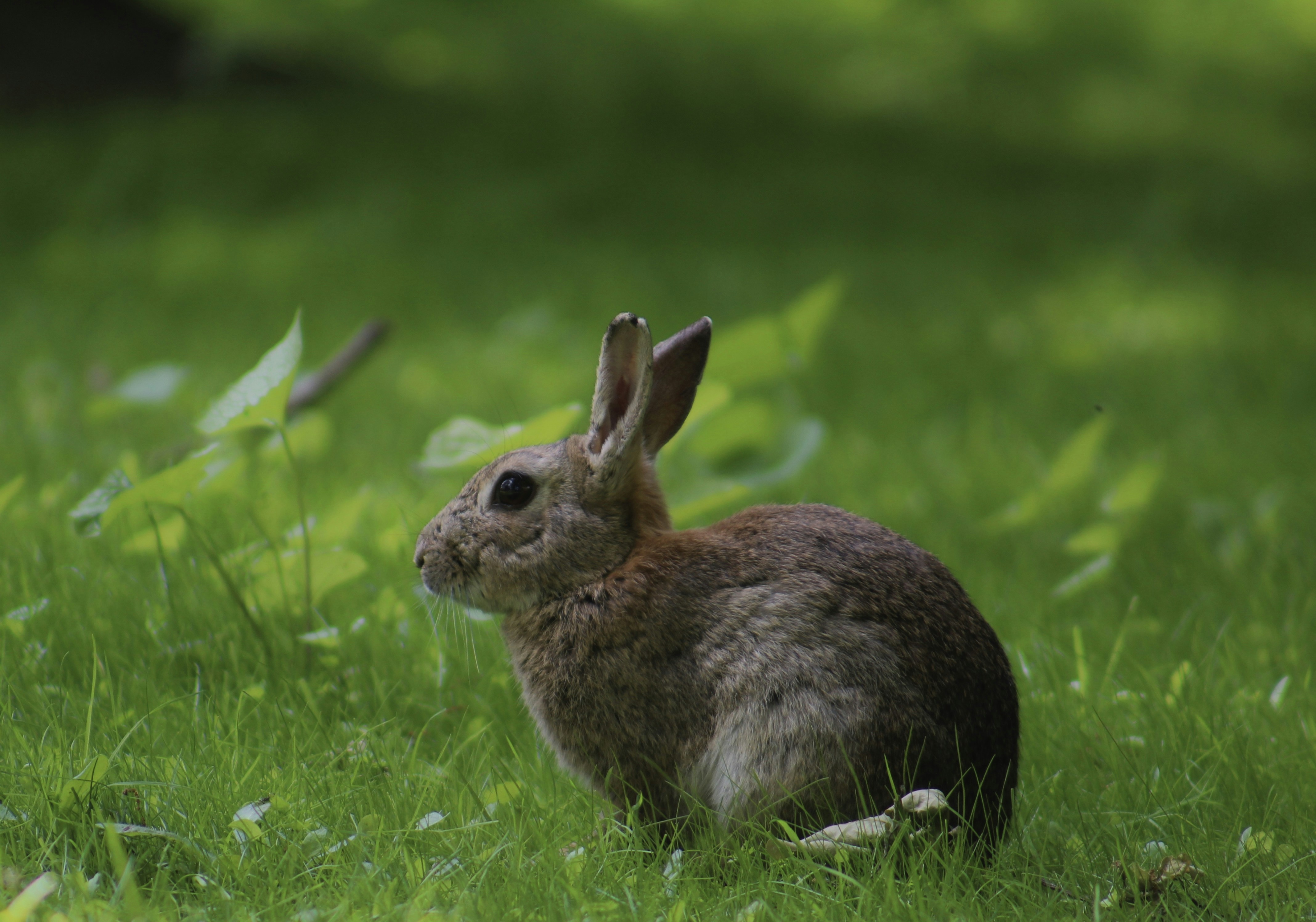 Photo by julia_fiander