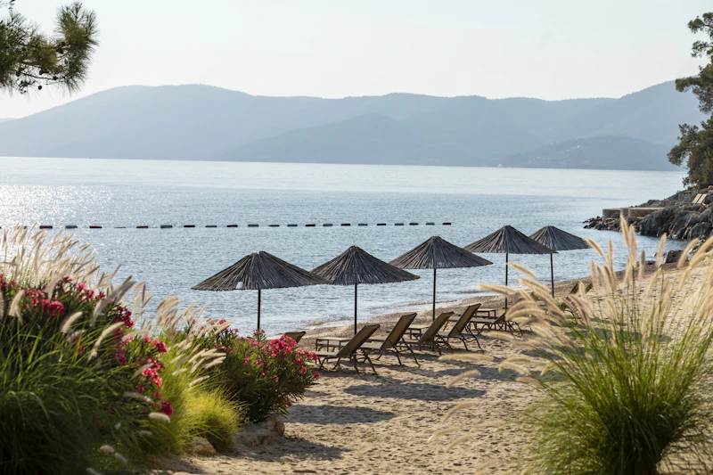 Best Hidden Speakeasies in Bodrum You Need a Tip to Find
